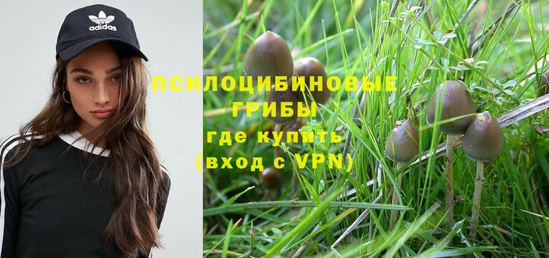 ОМГ ОМГ сайт  Балаково  Псилоцибиновые грибы Psilocybine cubensis 